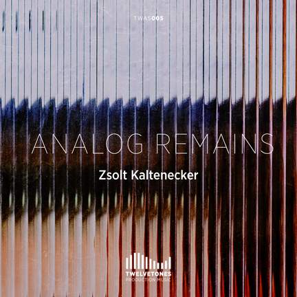 Analog Remains