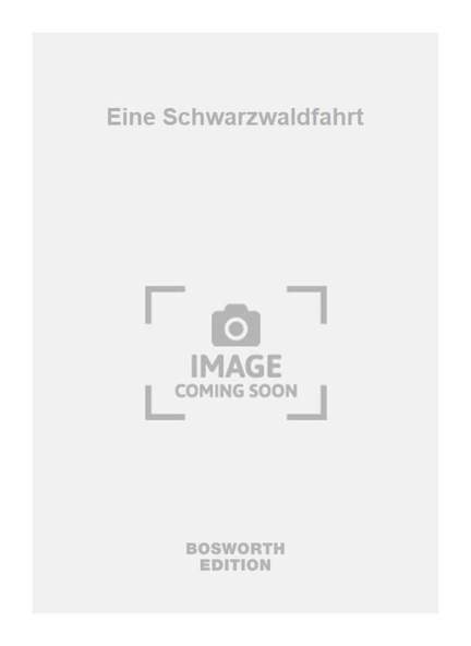 Eine Schwarzwaldfahrt