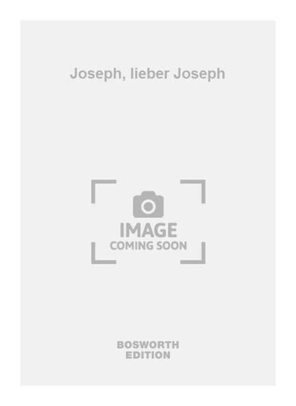 Joseph, lieber Joseph