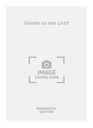 Theo Fischer: Glaube an das Licht