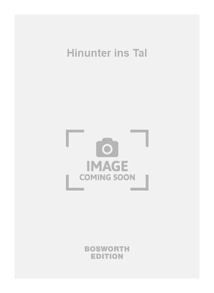 Hinunter ins Tal
