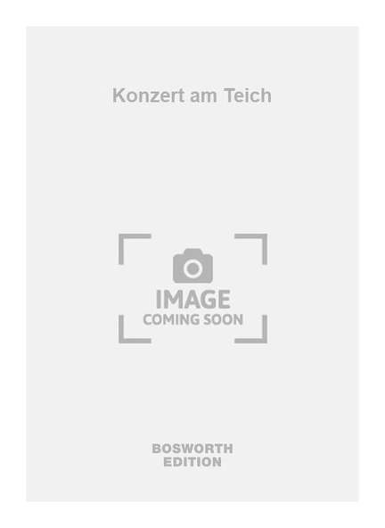 Konzert am Teich