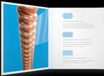 D'Addario: XS Phosphor Bronze Product Image