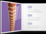 D'Addario: XS Phosphor Bronze Product Image
