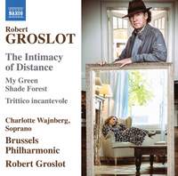 Robert Groslot: The Intimacy of Distance