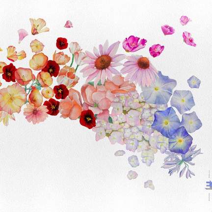 Flor