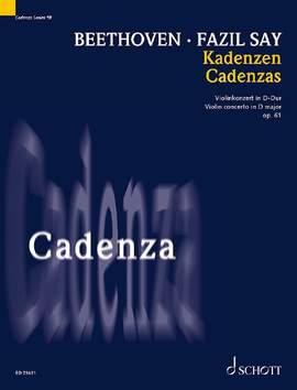 Say, F: Kadenzen D major Vol. 18