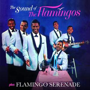 The Sound of the Flamingos / Flamingo Serenade