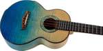A10 All Solid Tenor Ukulele - Flamed Maple Product Image