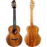 A10 All Solid Tenor Ukulele - Mango Product Image