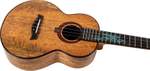 A10 All Solid Tenor Ukulele - Mango Product Image