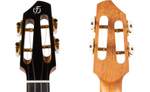 A10 All Solid Tenor Ukulele - Spruce/Cocobolo Product Image