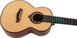A10 All Solid Tenor Ukulele - Spruce/Cocobolo Product Image