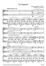 Beethoven: Trio Fragment Product Image