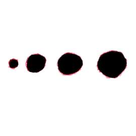 Radio Pulsars