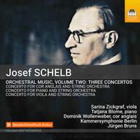 Schelb: Orchestral Music