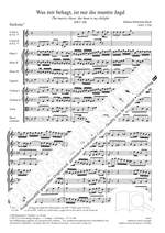 Bach, JS: Was mir behagt, ist nur die muntre Jagd BWV208 Product Image