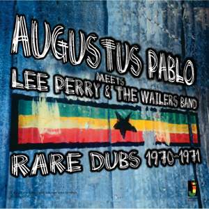 Meets Lee Perry and the Wailers Band - Rare Dub
