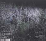 The Headlight Serenade Product Image