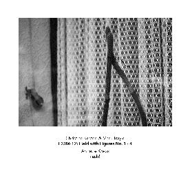 Christian Kesten & Mark Trayle: F23M-12: Field with Figures No.1-4 & Annette Krebs: rush!