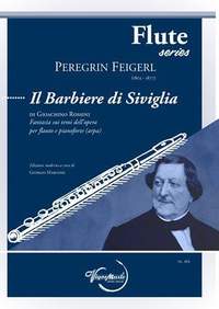 Peregrin Feigerl: Il Barbiere Di Siviglia di Rossini