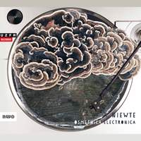 Osmętnica electronica