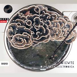 Osmętnica electronica