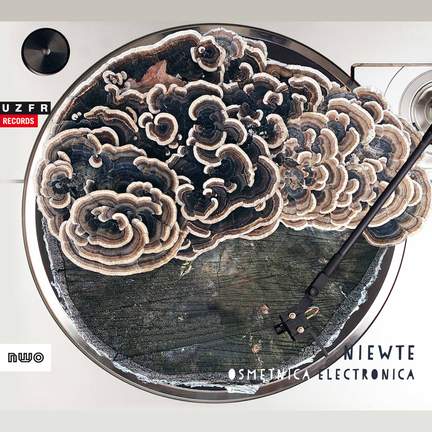 Osmętnica electronica