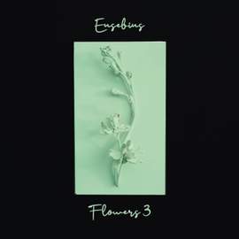 Flowers 3