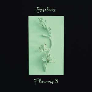 Flowers 3