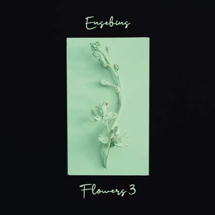 Flowers 3