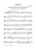 Flute Meditations Product Image