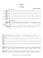Catherine McMichael: Floris the Complete Set Product Image