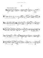 David Loeb: 19 Caprices Product Image