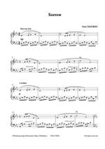 Paul Chatrou: Sorrow Product Image