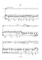 Stephane vande Ginste: Sonata Product Image