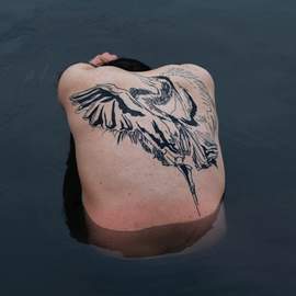 Blue Heron