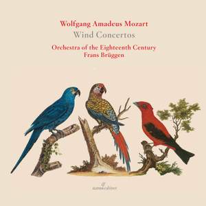 Wa Mozart: Wind Concertos