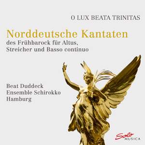North German cantatas of the early baroque for alto, strings and basso continuo