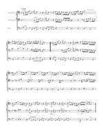 Vivaldi, Antonio: Concerto for two Violoncellos, Strings and Basso continuo in G minor RV 531 Product Image