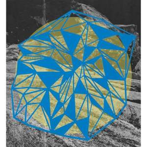 Field Theory
