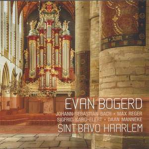 Sint Bavo Haarlem