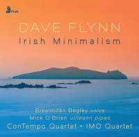 Dave Flynn: Irish Minimalism