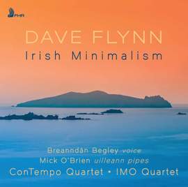 Dave Flynn: Irish Minimalism