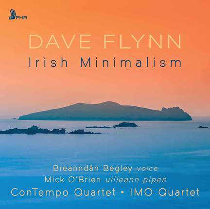 Dave Flynn: Irish Minimalism