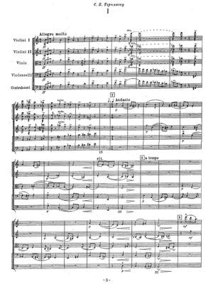 Miaskovsky, Nikolai: Sinfonietta for String Orchestra in A minor, Op. 68, No. 2