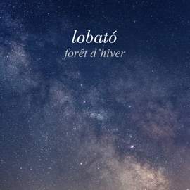 Forêt d’hiver