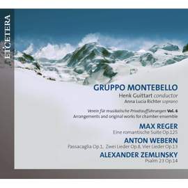 Verein Fur Musikalische Privatauffurunghen Vol. 6