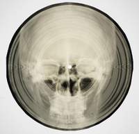Bone Music