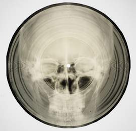 Bone Music